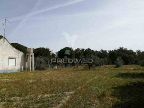 Monte alentejano - grândola