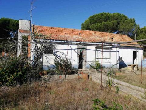 Monte alentejano - grândola