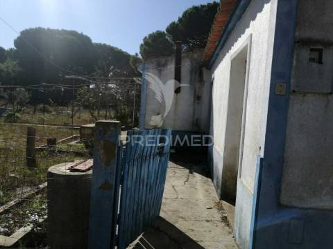 Monte alentejano - grândola