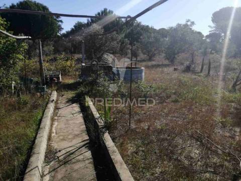 Monte alentejano - grândola