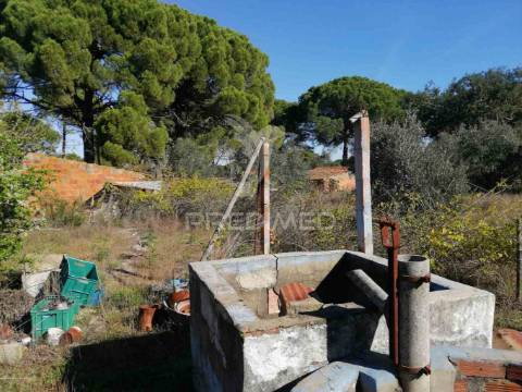 Monte alentejano - grândola