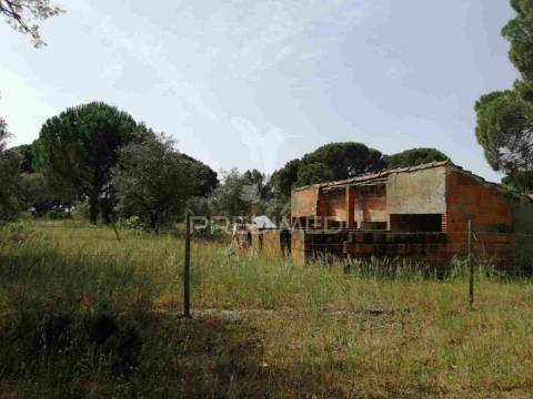 Monte alentejano - grândola