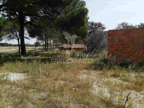 Monte alentejano - grândola