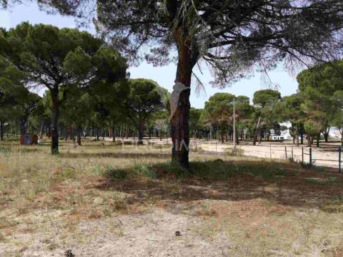 Monte alentejano - grândola