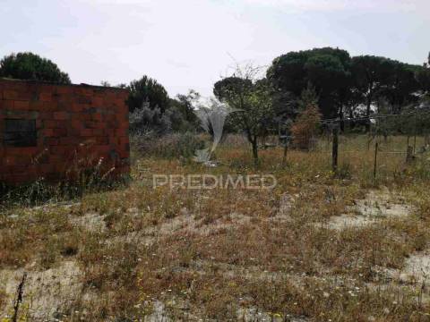 Monte alentejano - grândola