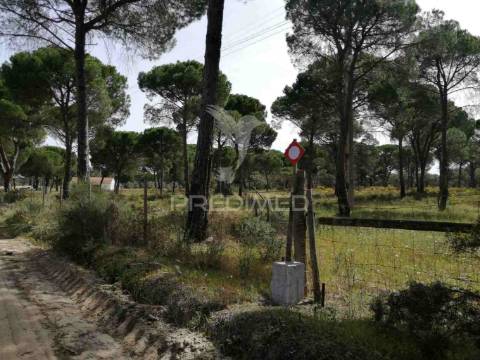 Monte alentejano - grândola