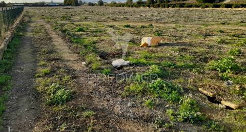 Arrendamento do terreno para agricultura campinas
