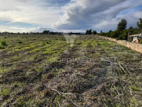 Arrendamento do terreno para agricultura campinas