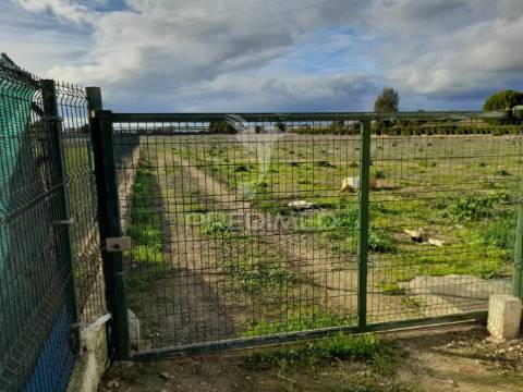 Arrendamento do terreno para agricultura campinas