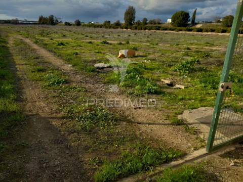 Arrendamento do terreno para agricultura campinas
