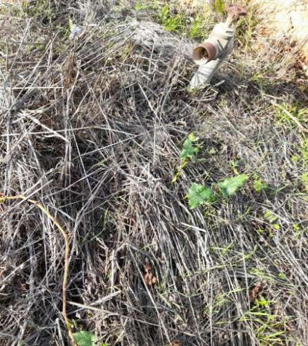 Arrendamento do terreno para agricultura campinas