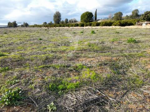 Arrendamento do terreno para agricultura campinas