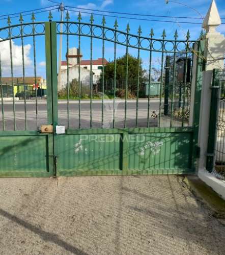 Arrendamento do terreno para agricultura campinas