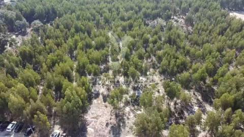 Lote de terreno em palmela