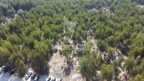 Lote de terreno em palmela