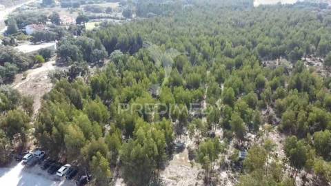 Lote de terreno em palmela