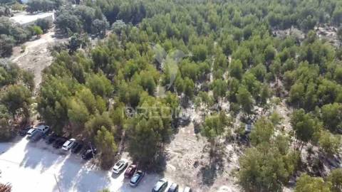 Lote de terreno em palmela