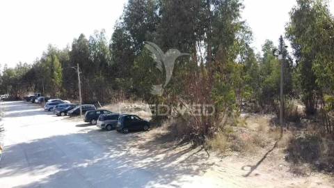 Lote de terreno em palmela