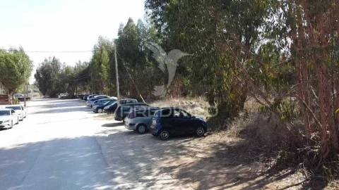 Lote de terreno em palmela