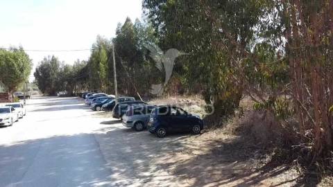 Lote de terreno em palmela