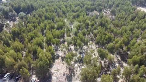 Lote de terreno em palmela