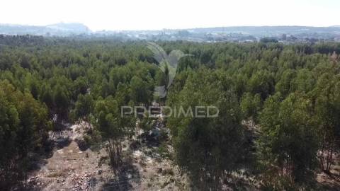 Lote de terreno em palmela