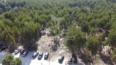 Lote de terreno em palmela