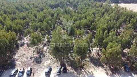 Lote de terreno em palmela