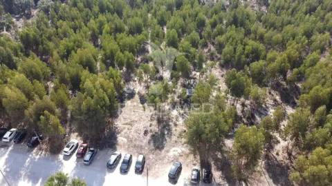 Lote de terreno em palmela