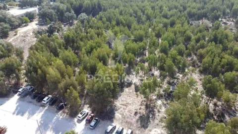 Lote de terreno em palmela