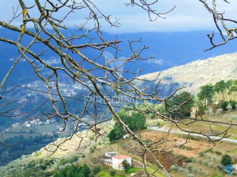 Terreno urbanizável - pomarelhos a 8 kms vila real