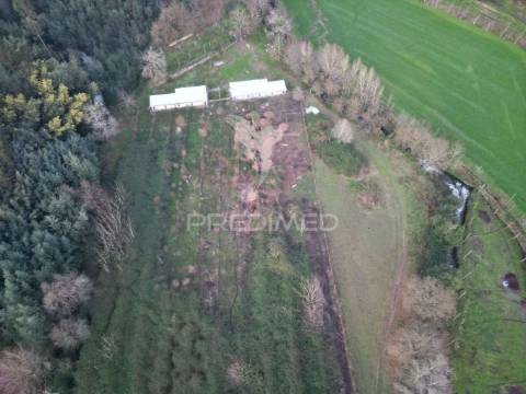 Terreno em briteiros santa leocádia - guimarães