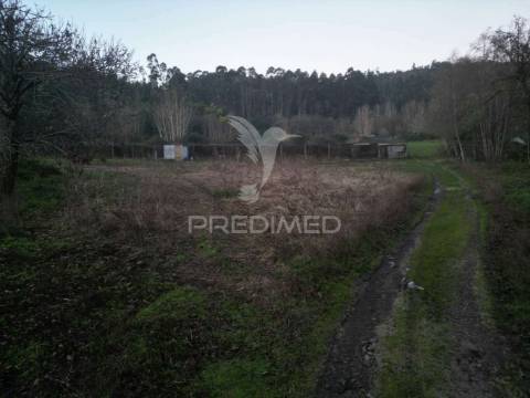 Terreno em briteiros santa leocádia - guimarães