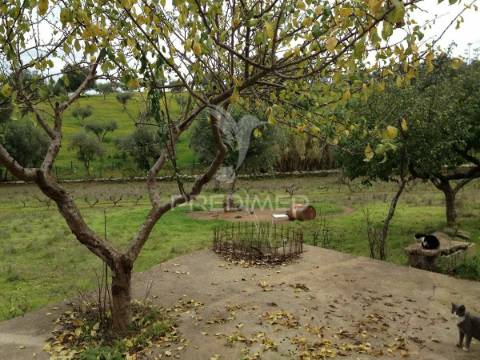 Monte alentejano em avis