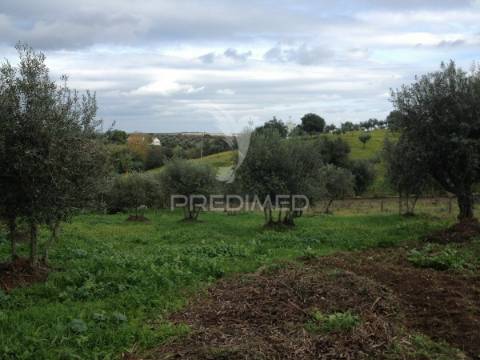 Monte alentejano em avis