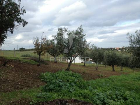 Monte alentejano em avis