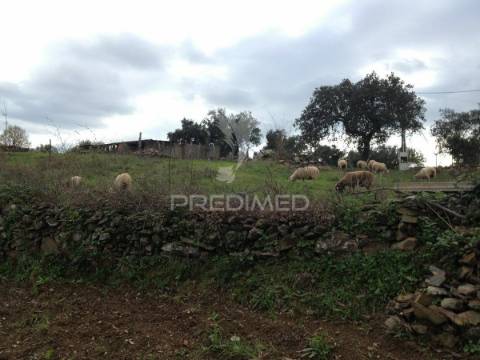 Monte alentejano em avis