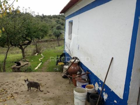 Monte alentejano em avis