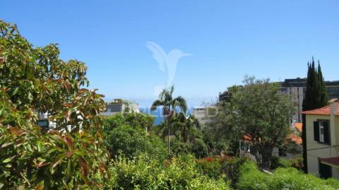 Moradia t4 nos ilheus