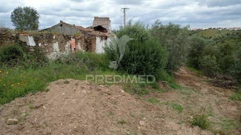 Monte alentejano em montargil.