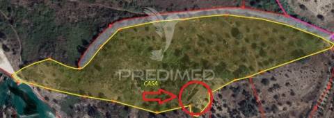 Monte alentejano em montargil.