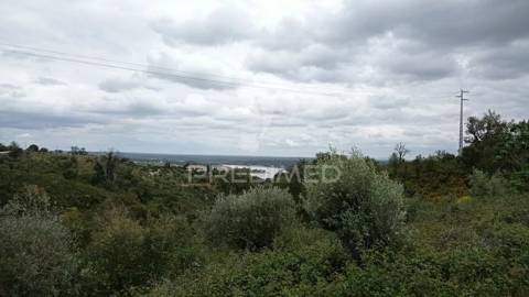 Monte alentejano em montargil.