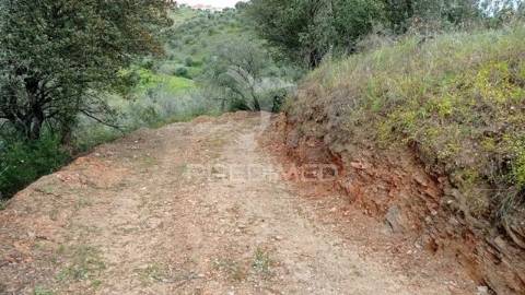 Monte alentejano em montargil.