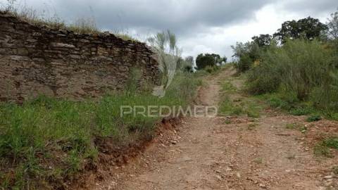 Monte alentejano em montargil.