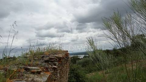 Monte alentejano em montargil.