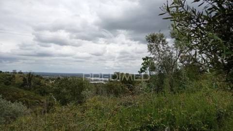 Monte alentejano em montargil.