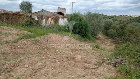 Monte alentejano em montargil.