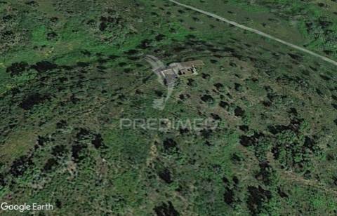 Monte alentejano em montargil.