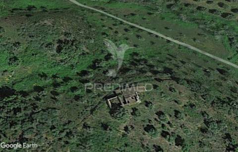 Monte alentejano em montargil.