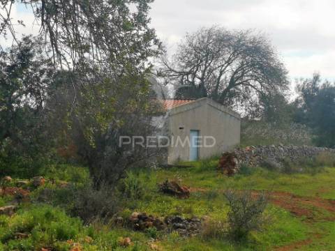 Terreno de 5240 m2, que contém também uma parte urbana com 80 m2,